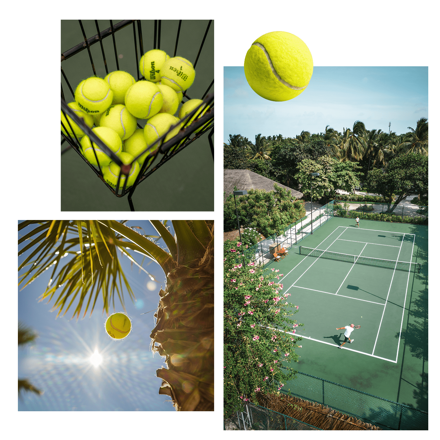 tennis 1