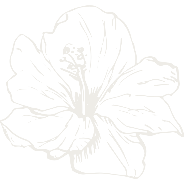 167078653f76d0801024c9fd513ca5383d71e06a.png